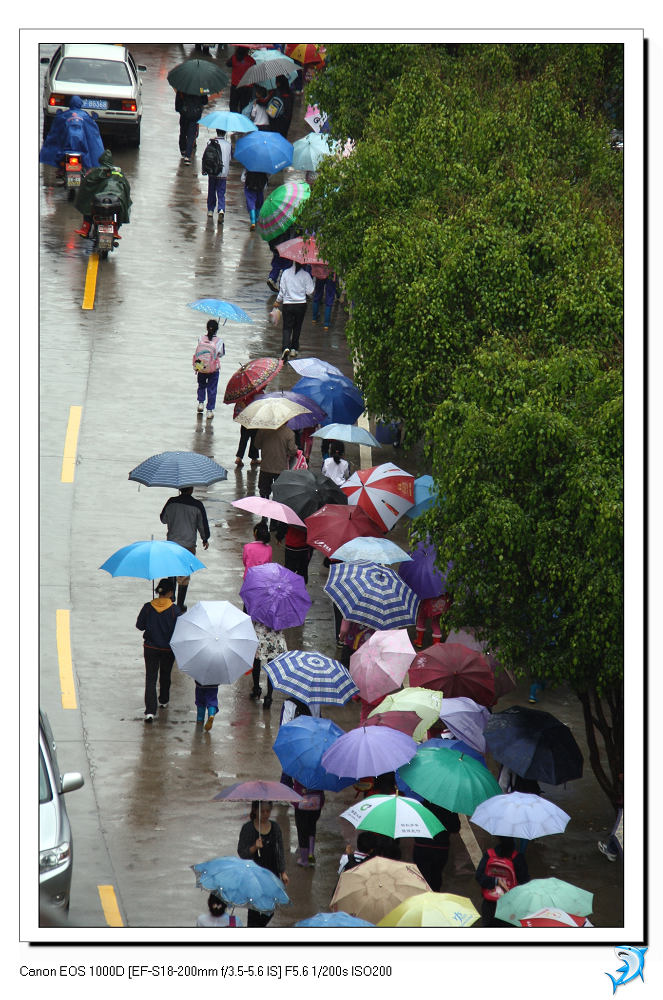 落雨街 摄影 聚云山客