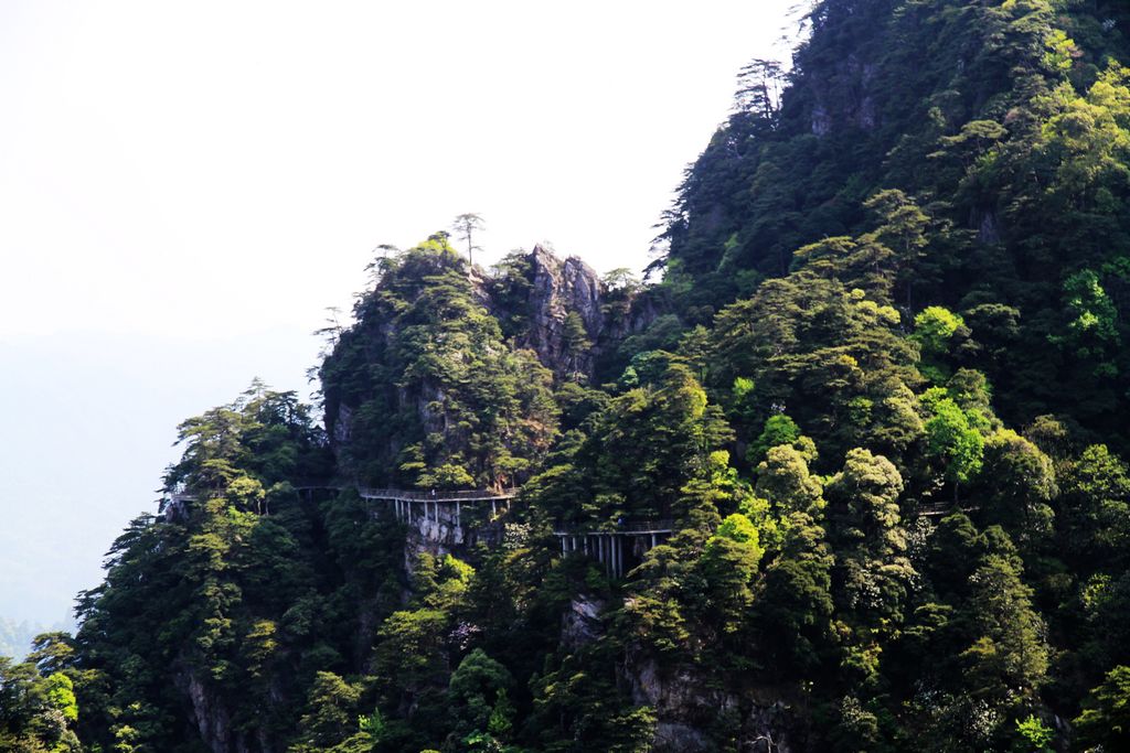 井冈山景区——笔架山栈道 摄影 飞翔001