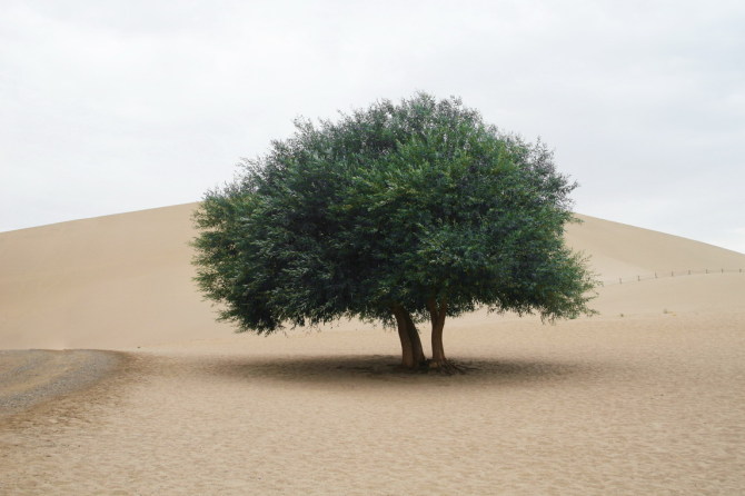 生命 摄影 启顺