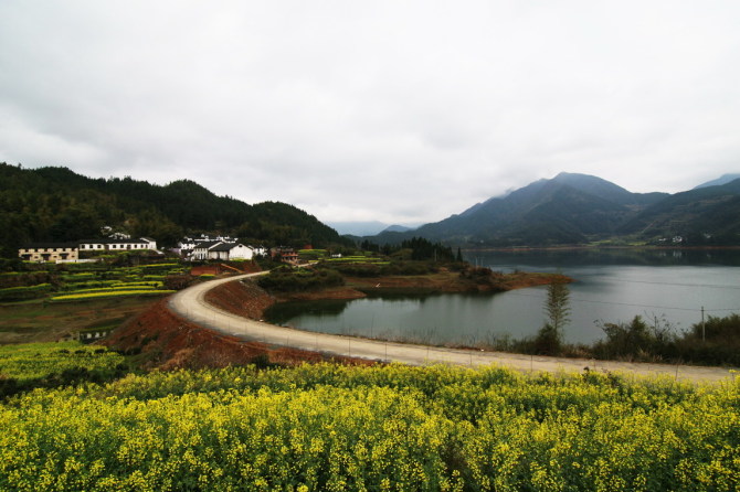 乡村小路 摄影 启顺