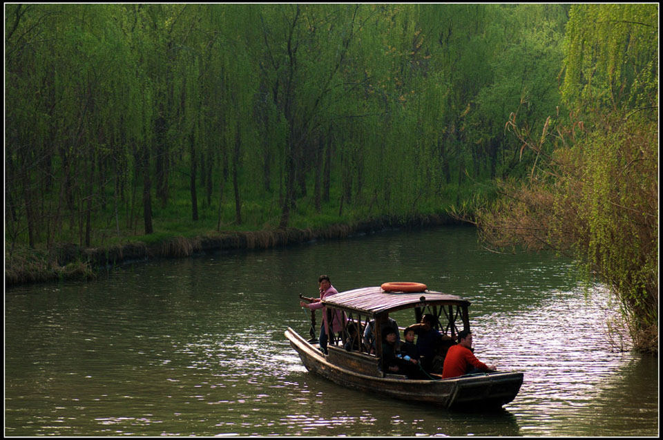 苏北采风——溱潼湿地 摄影 lingsu