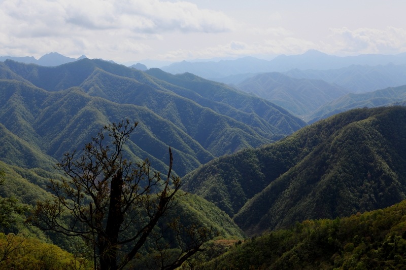 五月秦岭 摄影 红色浪漫