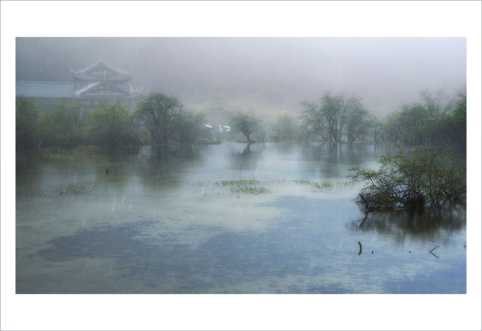 雨中黄龙 摄影 门鼻儿