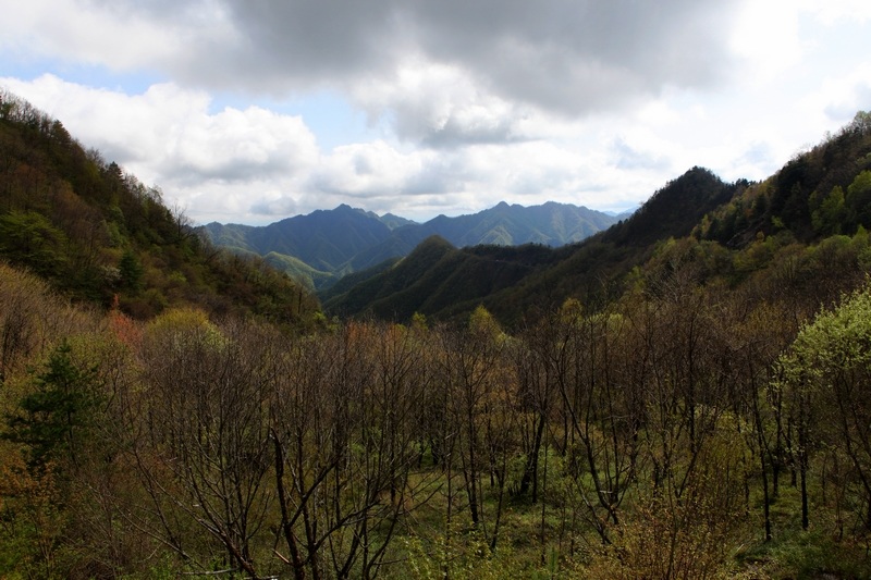 五月秦岭 摄影 红色浪漫