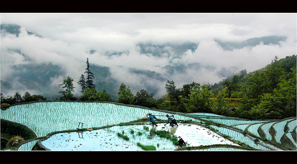 耘天 摄影 江岸孤峰