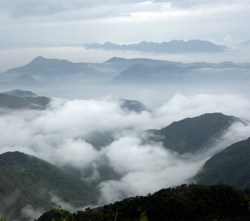 阳光在哪里 摄影 同舟风雨