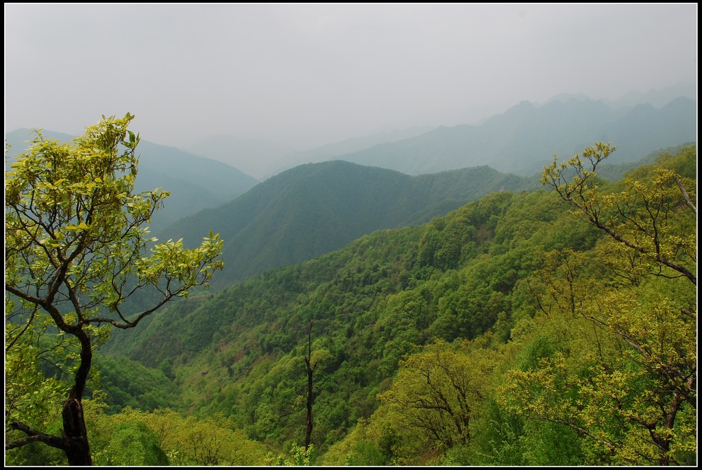 大秦岭 摄影 阳光灿烂中