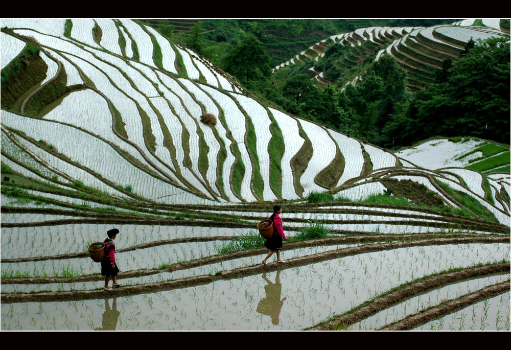 瑶家的春天 摄影 江岸孤峰