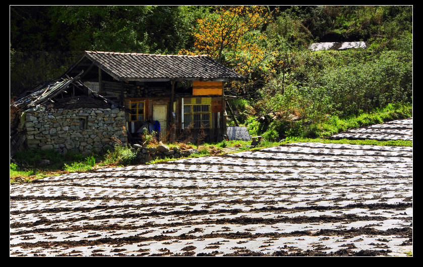 山居 摄影 风了尘