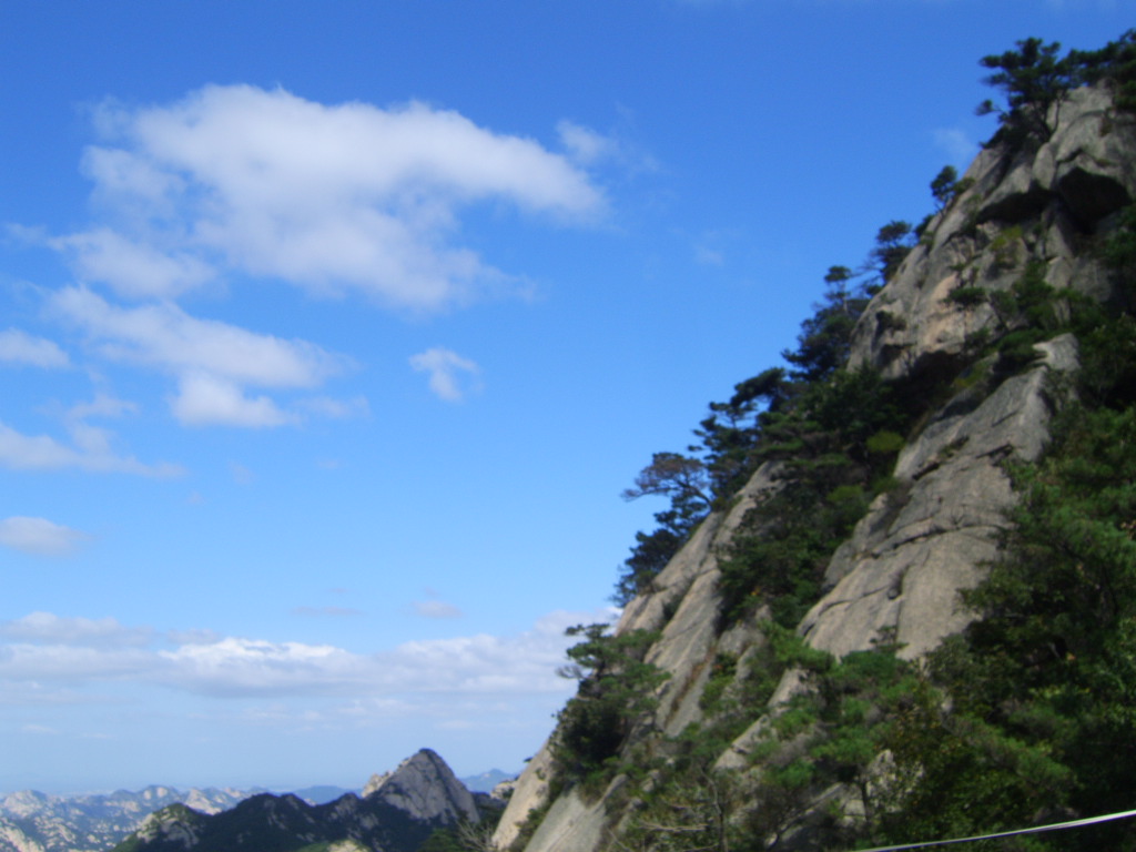 昆嵛山 摄影 江边垂柳