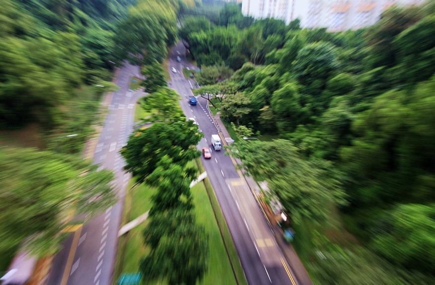 定格 摄影 盛夏绽放