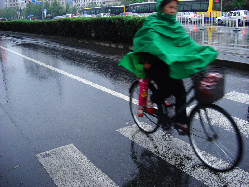 春雨—母爱 摄影 寒梅傲雪