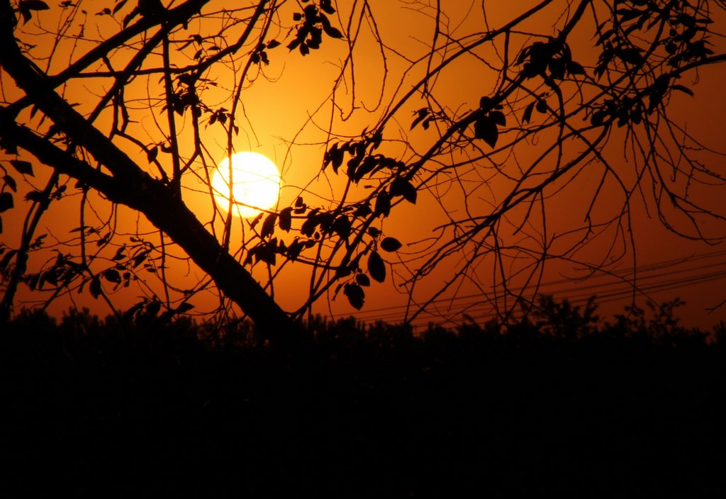 夕阳 摄影 优宁