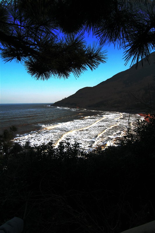 海湾 摄影 启顺