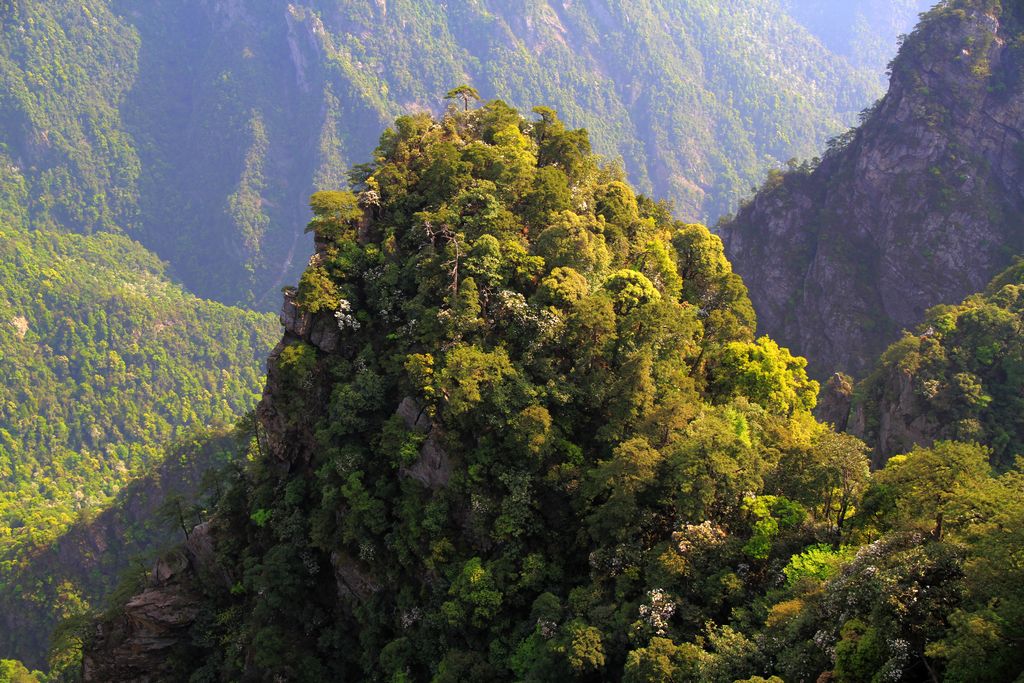 山中山 摄影 飞翔001