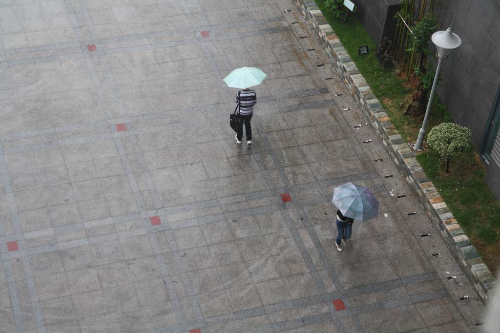 暴雨中的院子 摄影 prccts