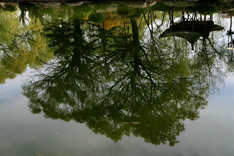 水中景 摄影 月儿湾湾