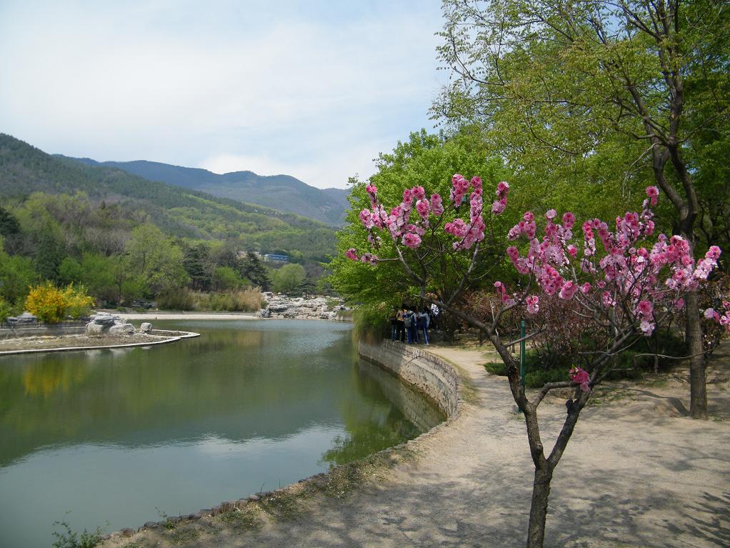 北京植物园5 摄影 刘陆陆