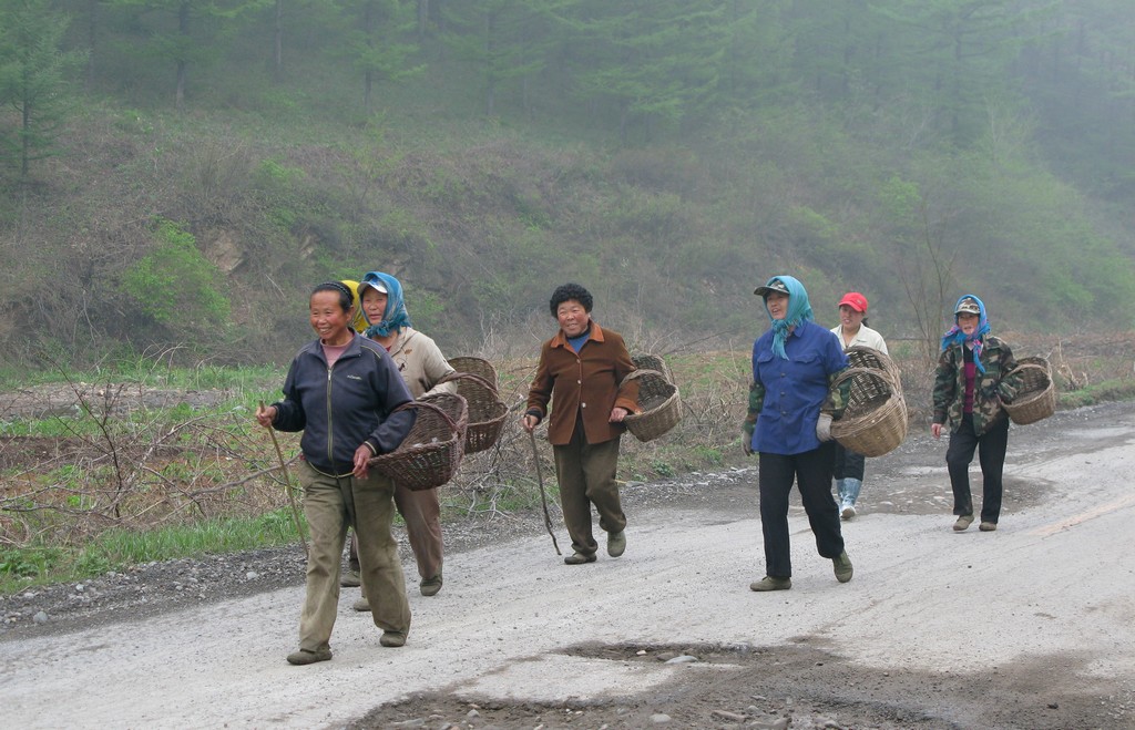 赶山场 摄影 kangj