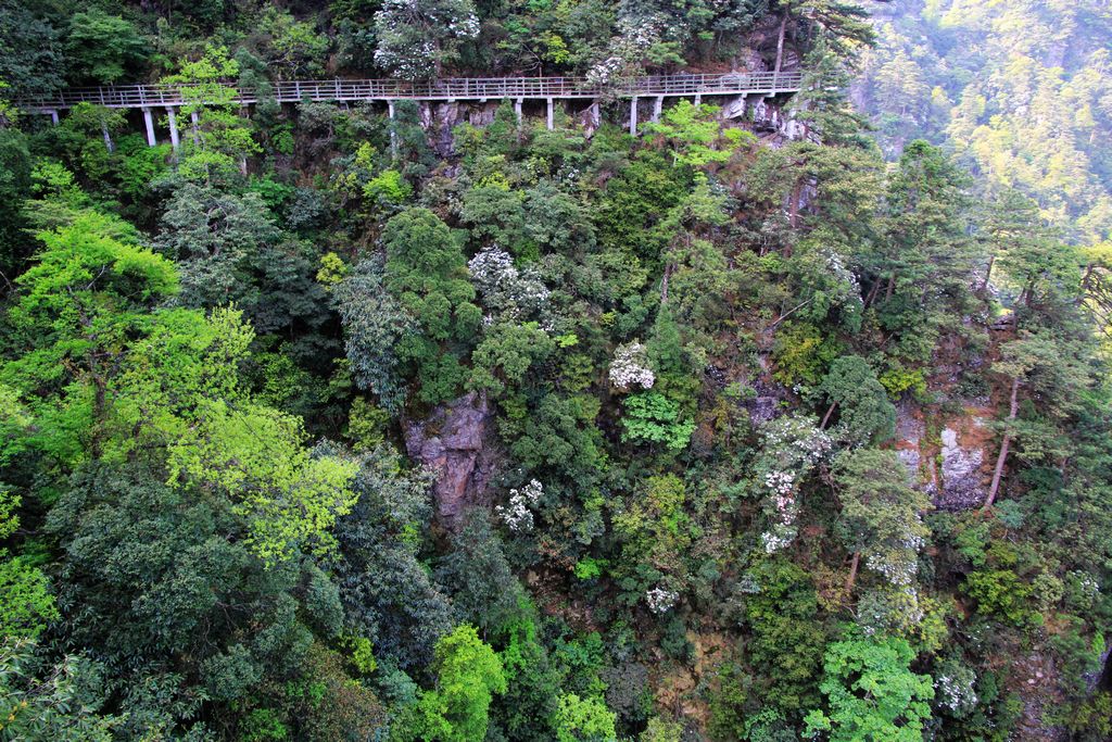 井冈山景区——笔架山栈道 摄影 飞翔001