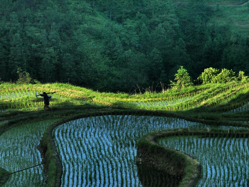 山田 摄影 老广