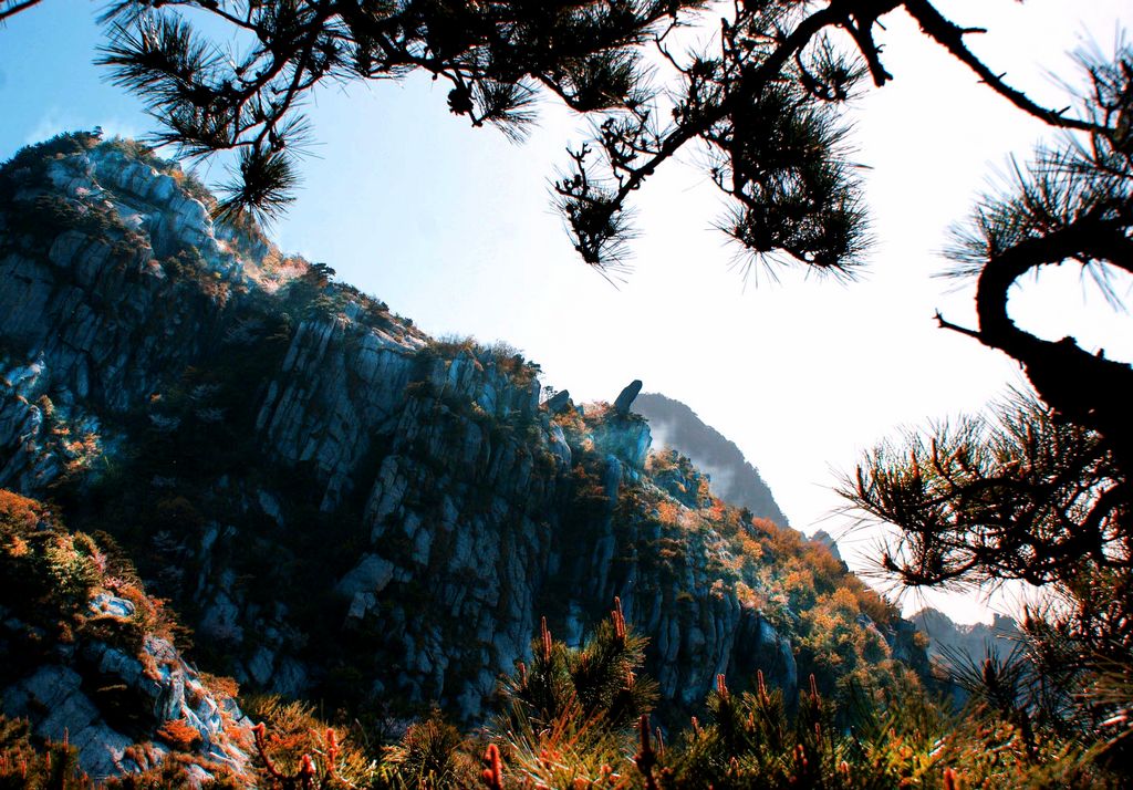 无限风光在险峰 摄影 关河纤夫