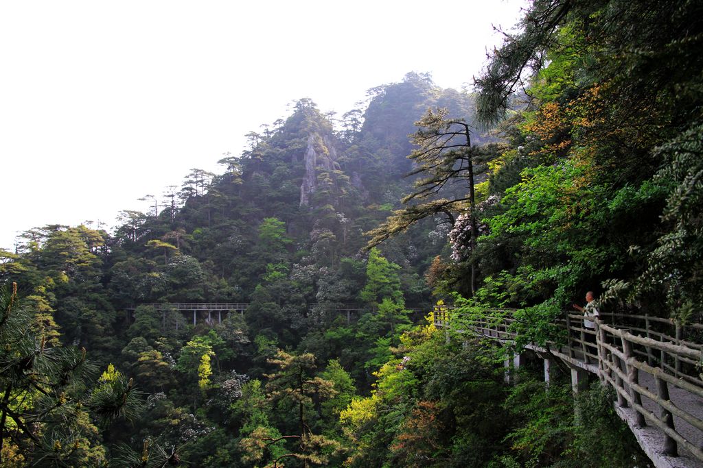 井冈山景区——笔架山栈道 摄影 飞翔001