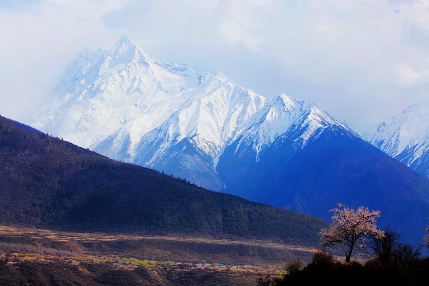 雪山.桃花 摄影 秋风觳纹