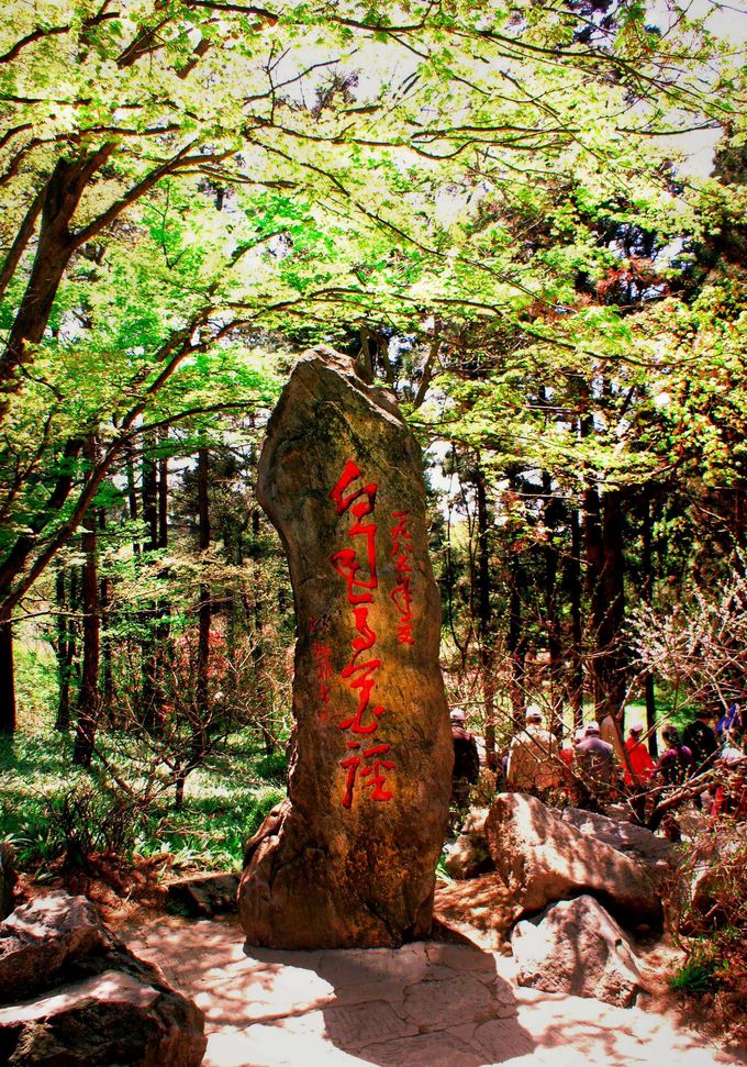 白居易花径 摄影 关河纤夫