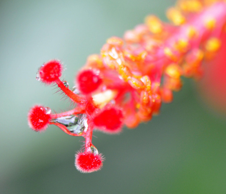 花枝俏 摄影 知行合二