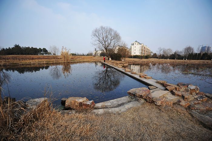 植物园 摄影 山野小鱼