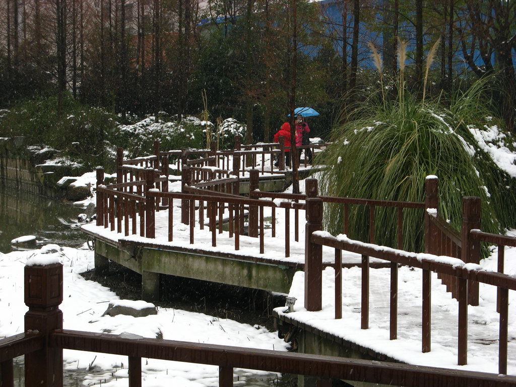 雪 摄影 zhouz