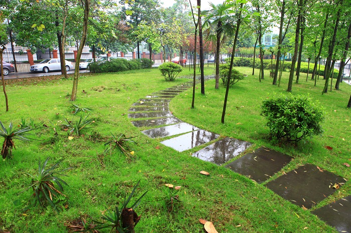 夜雨润滨江 摄影 幽韵