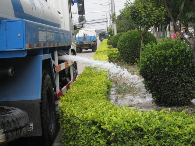 浇 摄影 香荷露角