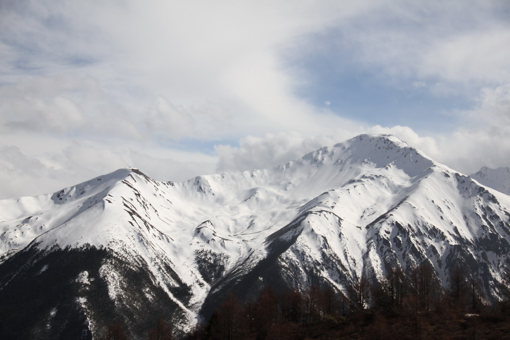 白马雪山 摄影 一壶漂泊