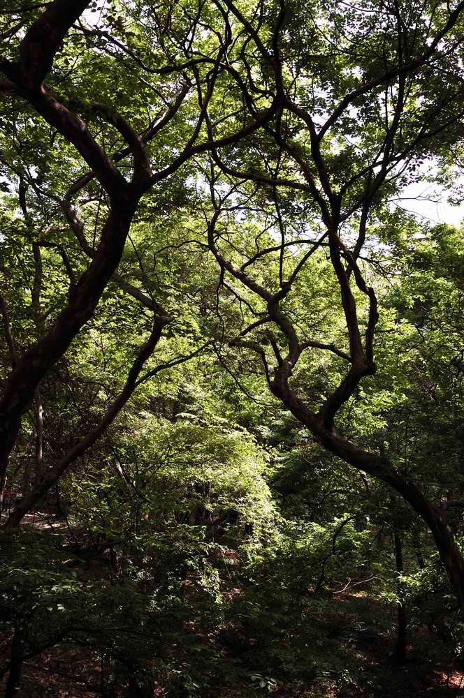 皇藏峪•天门寺(8) 摄影 景韵霞光