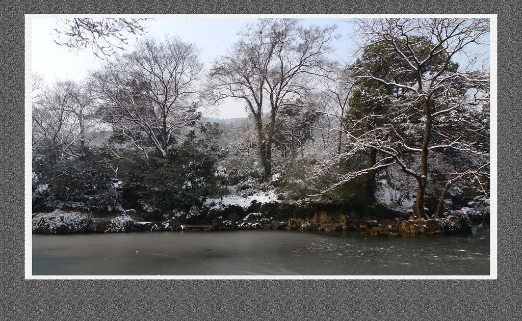 《千树万树梨花开》——最怜江南雪组图之十三 摄影 邹鹏程