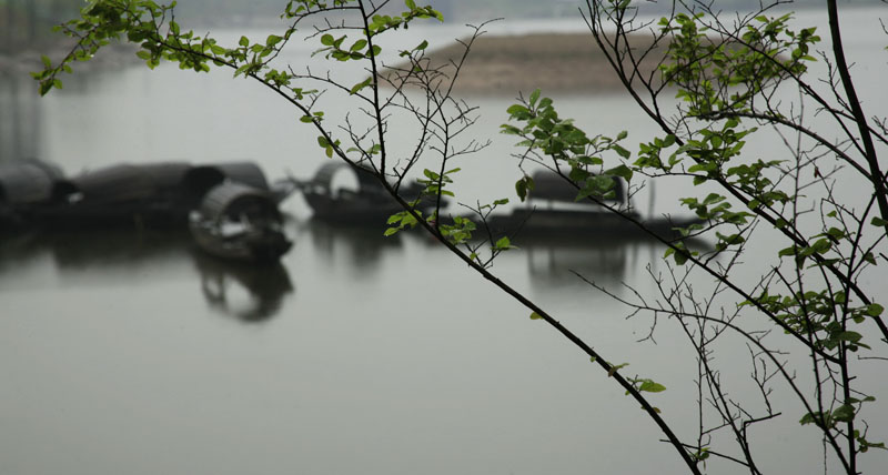 烟雨乌篷船 摄影 之林