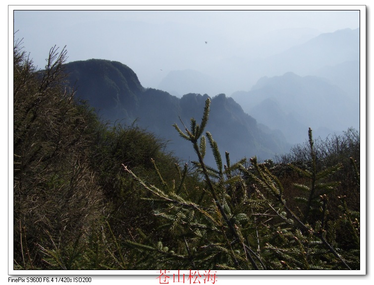 苍山 雾 摄影 英豪再闲