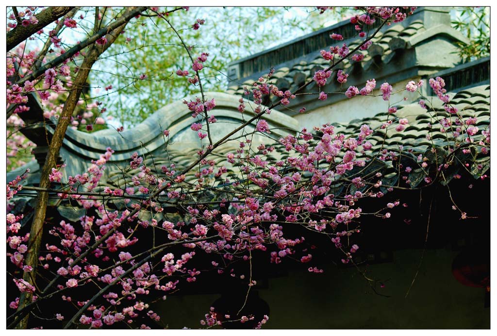 乡村一景 摄影 鲁鲁黑土