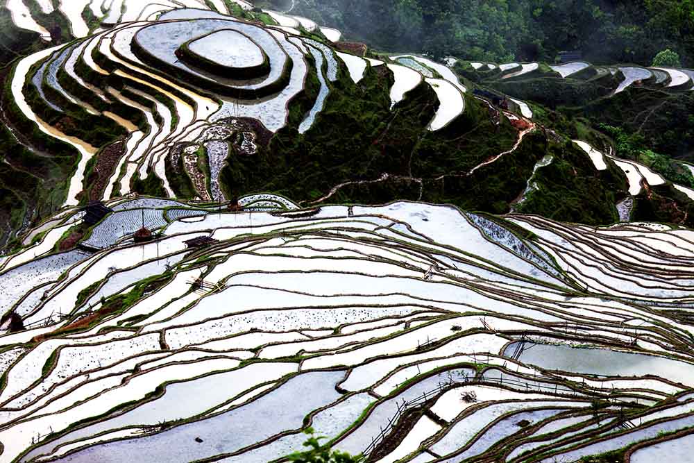 贵州---加榜梯田2 摄影 沂河之源