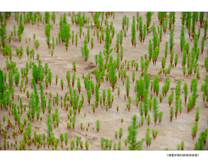 《请爱护我们的地球资源》 摄影 雨季风