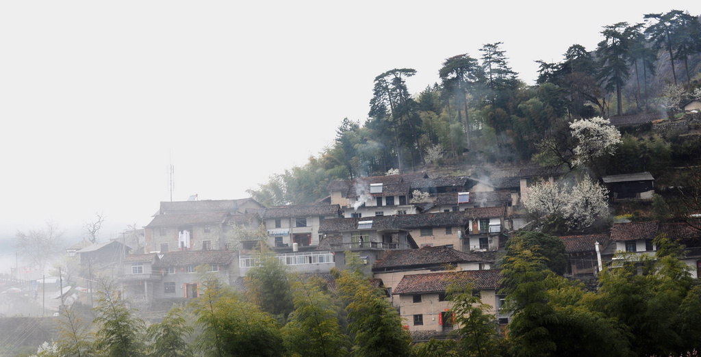 “晨雾”山村小景 摄影 青宜