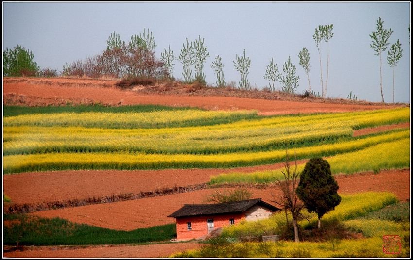 春彩绘大地 摄影 zhangxunyong