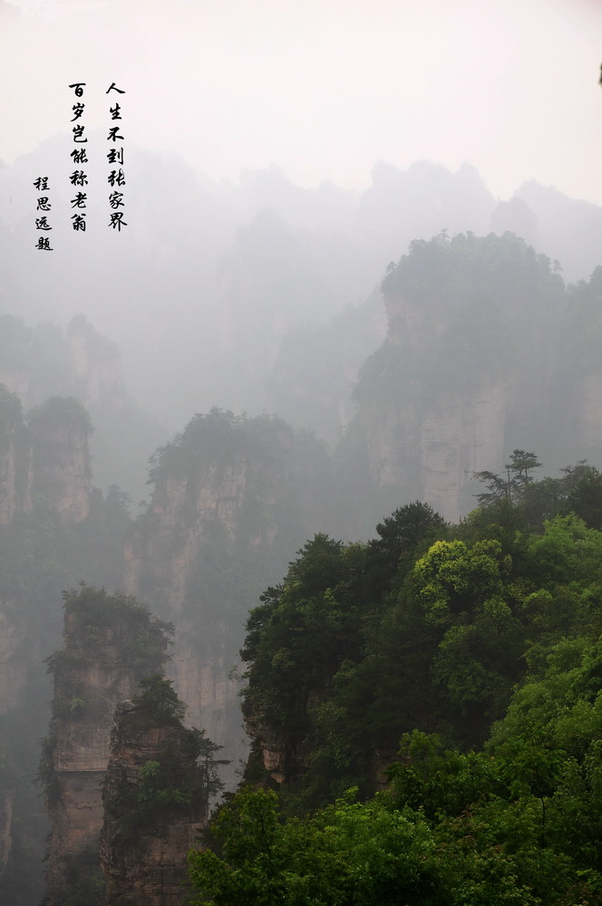 迷人的张家界（6）--雾漫奇山 摄影 蓉城一朵云