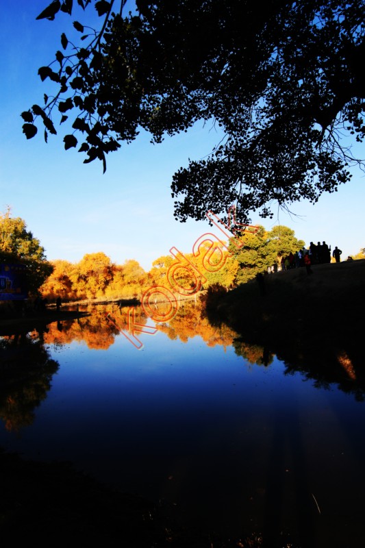 额济那旗晨光 摄影 启顺