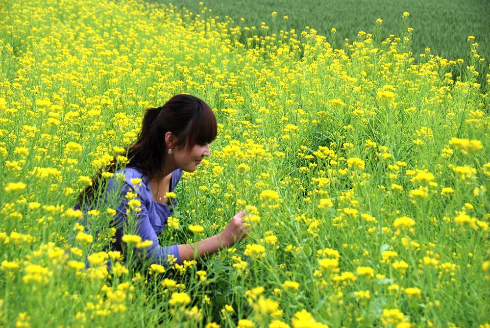 赏花 摄影 兰生空谷