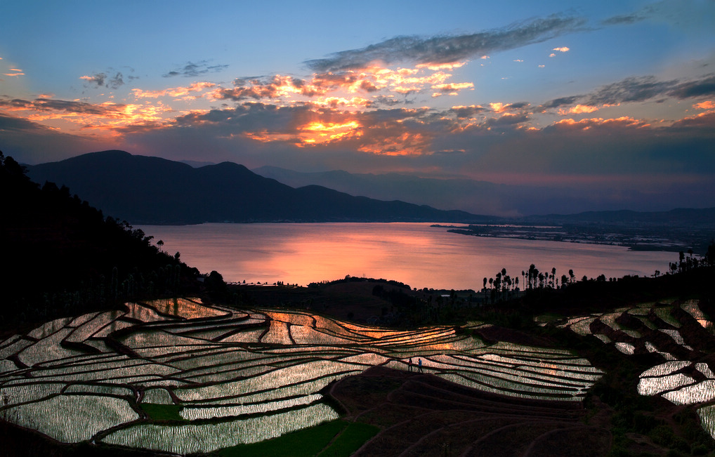 独食一景 摄影 袁德洪