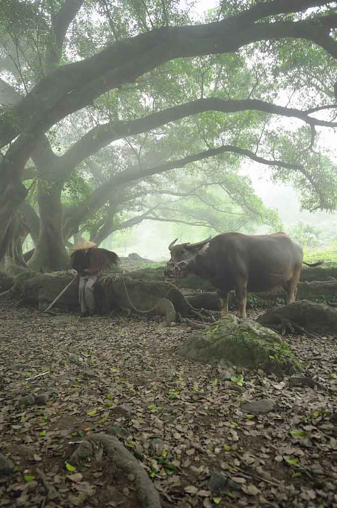 霞浦行之二（杨家溪） 摄影 半百地藏