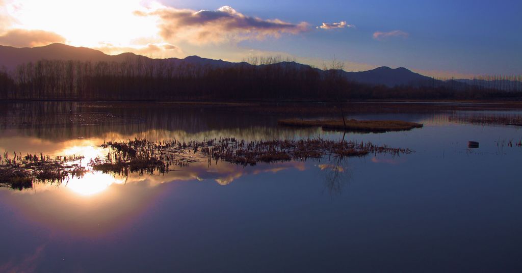 余晖-湿地外景习作 摄影 紫笛悠扬